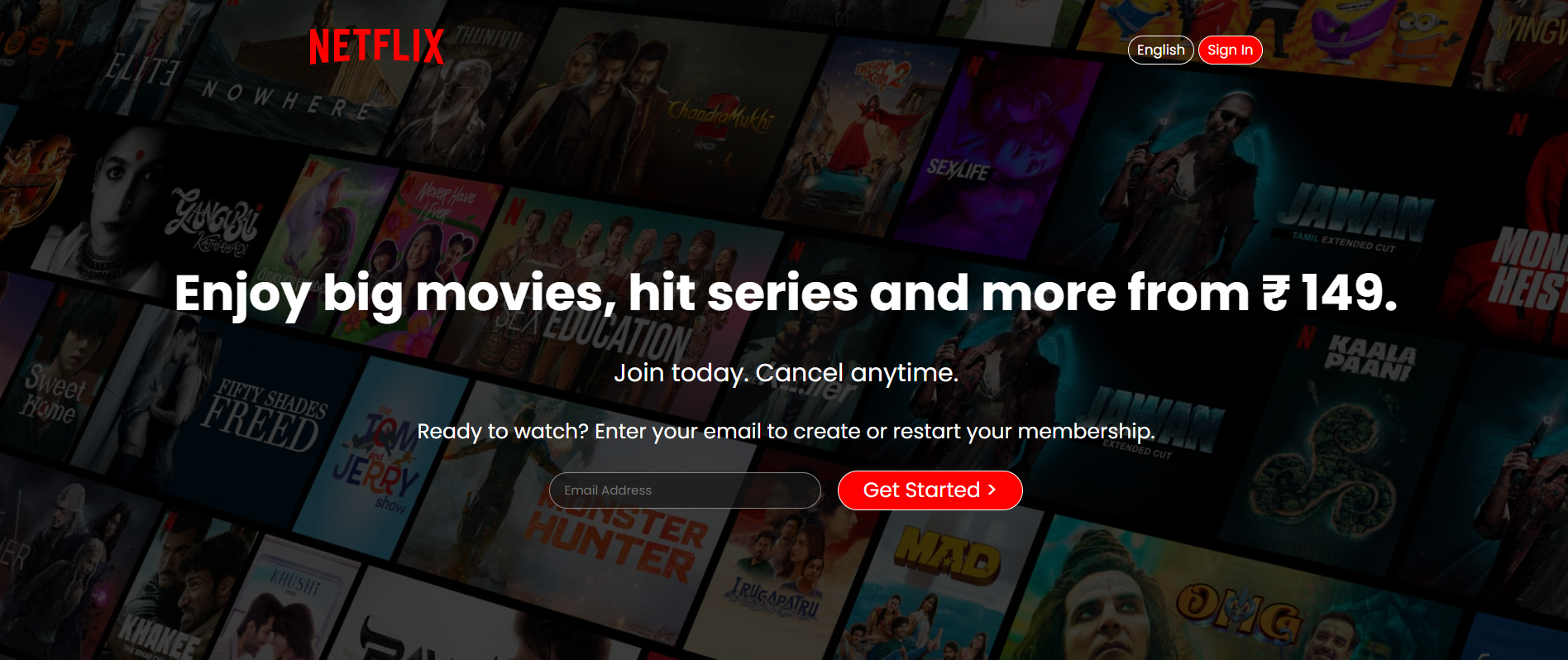 Netflix Clone Website